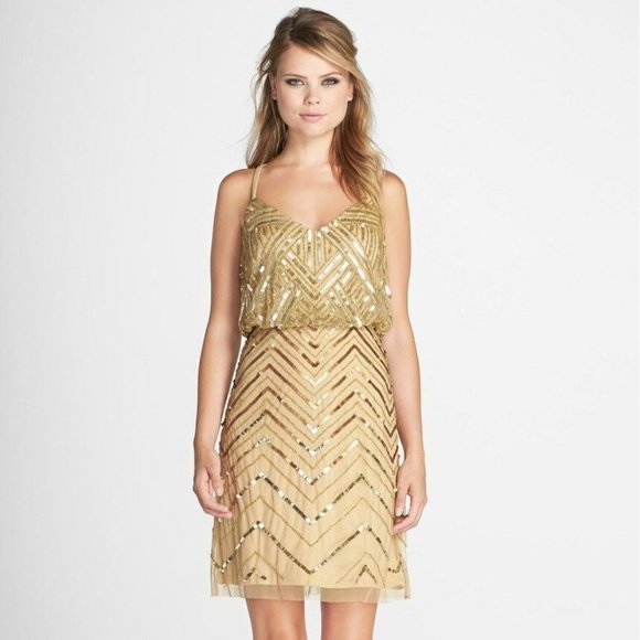 NWT Adrianna Papell Embellished‎ Mesh Blouson Dress - Picture 6 of 12